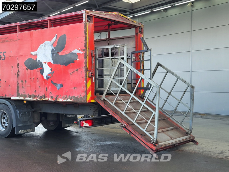 Scania P280 4X2 Cattle transport Automatic Full air suspension Euro 6 - شاحنة نقل المواشي: صورة 3 Scania P280 4X2 Cattle transport Automatic Full air suspension Euro 6 - شاحنة نقل المواشي: صورة 3
