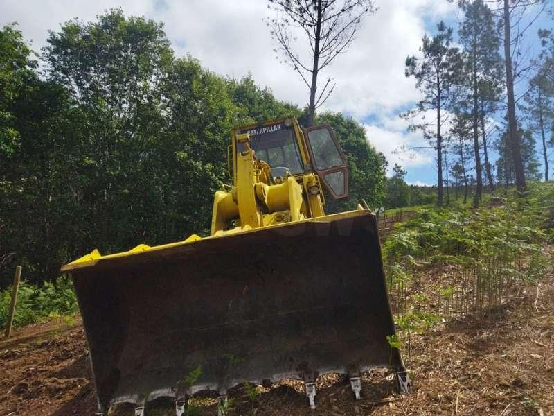 Caterpillar Chargeur sur Chenilles 963 - اللودر المجنزر: صورة 4 Caterpillar Chargeur sur Chenilles 963 - اللودر المجنزر: صورة 4