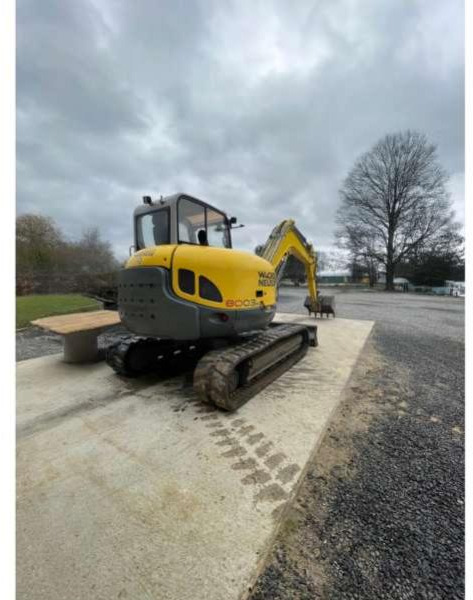 Wacker Neuson 8003 - حفار زحاف: صورة 1 Wacker Neuson 8003 - حفار زحاف: صورة 1