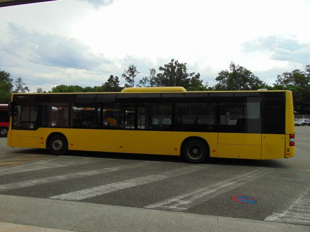 N.1 MAN LION’S CITY A37 LF – Anno 2012 - حافلة المدينة: صورة 4 N.1 MAN LION’S CITY A37 LF – Anno 2012 - حافلة المدينة: صورة 4