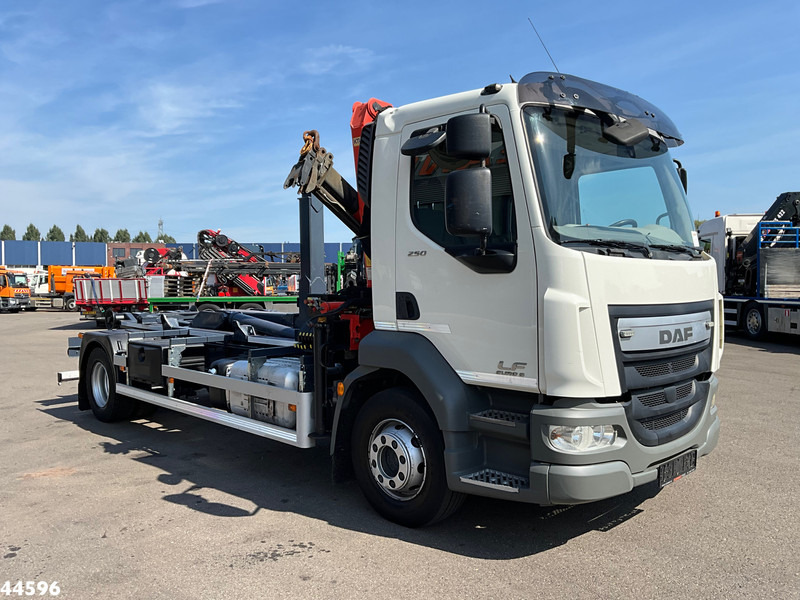 DAF FA LF 250 Euro 6 Palfinger 6,5 Tonmeter laadkraan - شاحنة ذات خطاف, شاحنة كرين: صورة 3 DAF FA LF 250 Euro 6 Palfinger 6,5 Tonmeter laadkraan - شاحنة ذات خطاف, شاحنة كرين: صورة 3