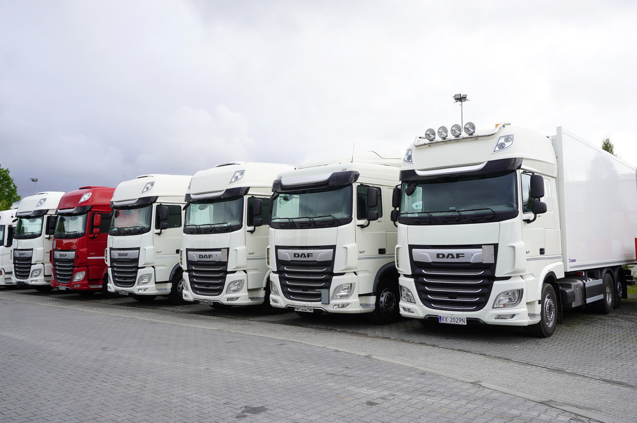 DAF XF 480 E6 6×2 / Refrigerator 18 pallets / 6 units - شاحنة الفريزر: صورة 2 DAF XF 480 E6 6×2 / Refrigerator 18 pallets / 6 units - شاحنة الفريزر: صورة 2