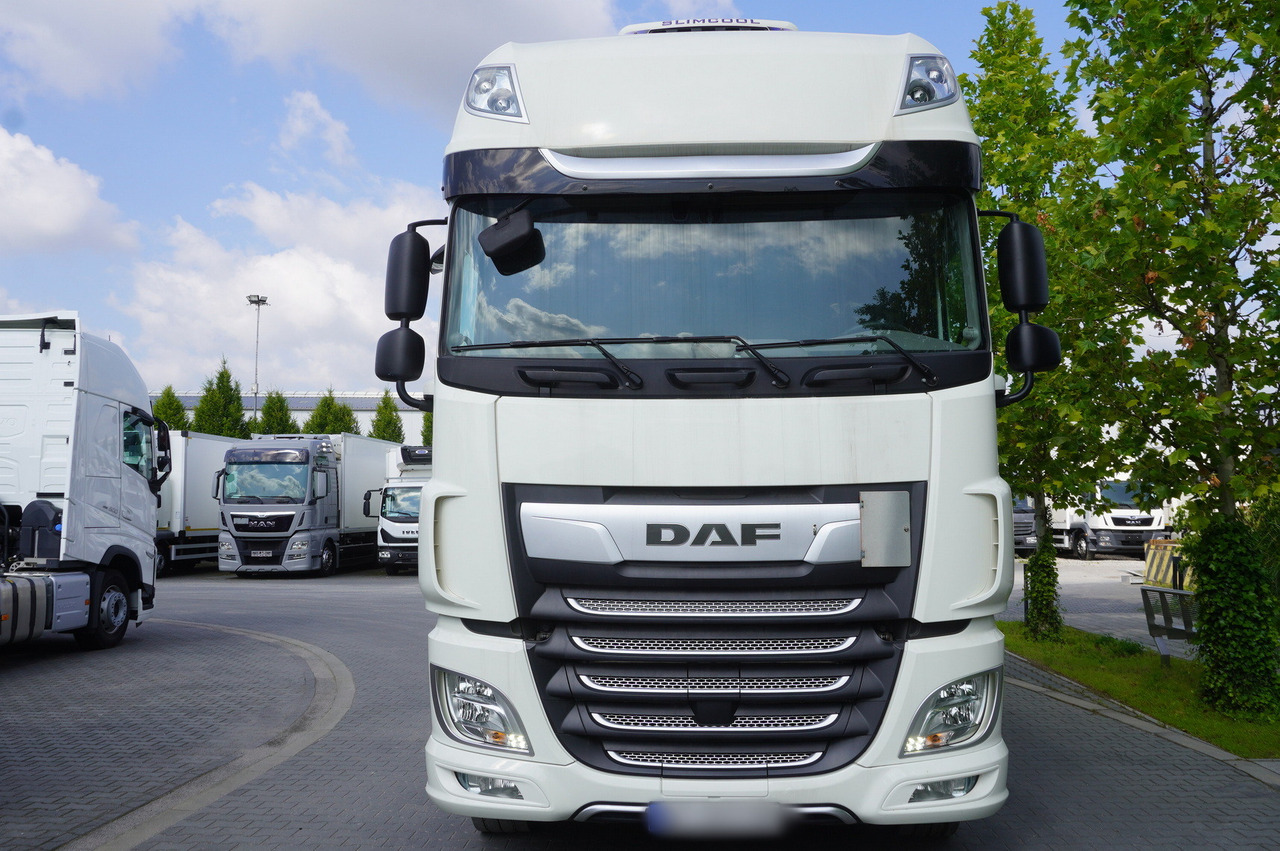 شاحنة ستارة DAF XF 480 SSC / Curtainsider 19 EPAL / 2021: صورة 8