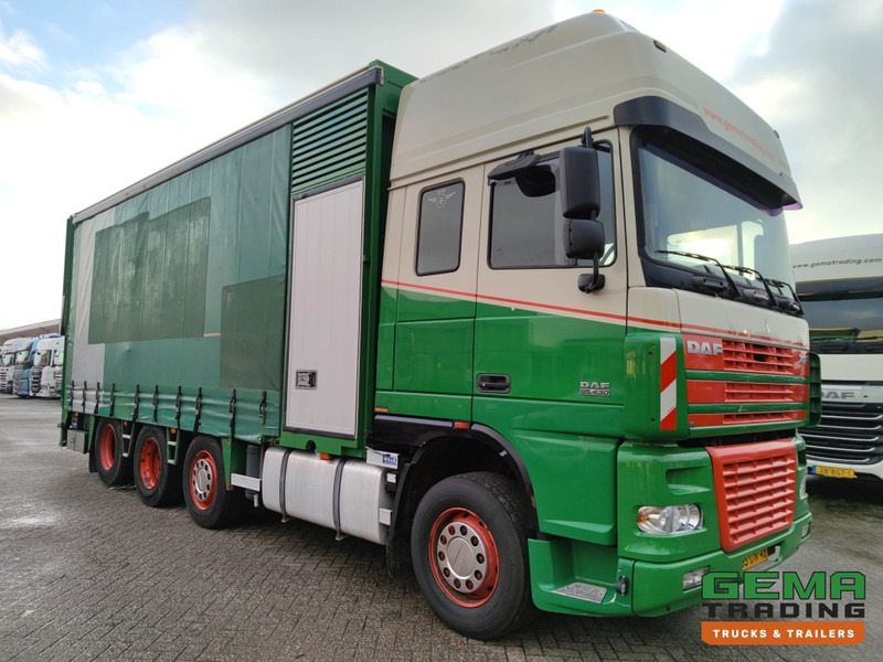 DAF FAK XF95.430 8x2 Super SuperSpaceCab Euro3 - CurtainSider 7.31m + Ramp 16T - MachineTransporter - 6 Persons (V558) - شاحنة نقل سيارات شاحنة: صورة 3 DAF FAK XF95.430 8x2 Super SuperSpaceCab Euro3 - CurtainSider 7.31m + Ramp 16T - MachineTransporter - 6 Persons (V558) - شاحنة نقل سيارات شاحنة: صورة 3