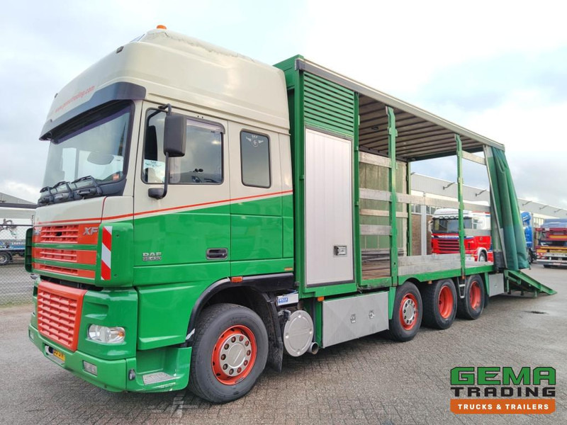 DAF FAK XF95.430 8x2 SuperSpaceCab Euro3 - CurtainSider 7.31m + Ramp 16T - MachineTransporter - 6 Persons (V558) - شاحنة نقل سيارات شاحنة: صورة 1 DAF FAK XF95.430 8x2 SuperSpaceCab Euro3 - CurtainSider 7.31m + Ramp 16T - MachineTransporter - 6 Persons (V558) - شاحنة نقل سيارات شاحنة: صورة 1