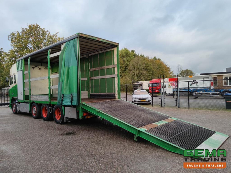 DAF FAK XF95.430 8x2 SuperSpaceCab Euro3 - CurtainSider 7.31m + Ramp 16T - MachineTransporter - 6 Persons (V558) - شاحنة نقل سيارات شاحنة: صورة 2 DAF FAK XF95.430 8x2 SuperSpaceCab Euro3 - CurtainSider 7.31m + Ramp 16T - MachineTransporter - 6 Persons (V558) - شاحنة نقل سيارات شاحنة: صورة 2