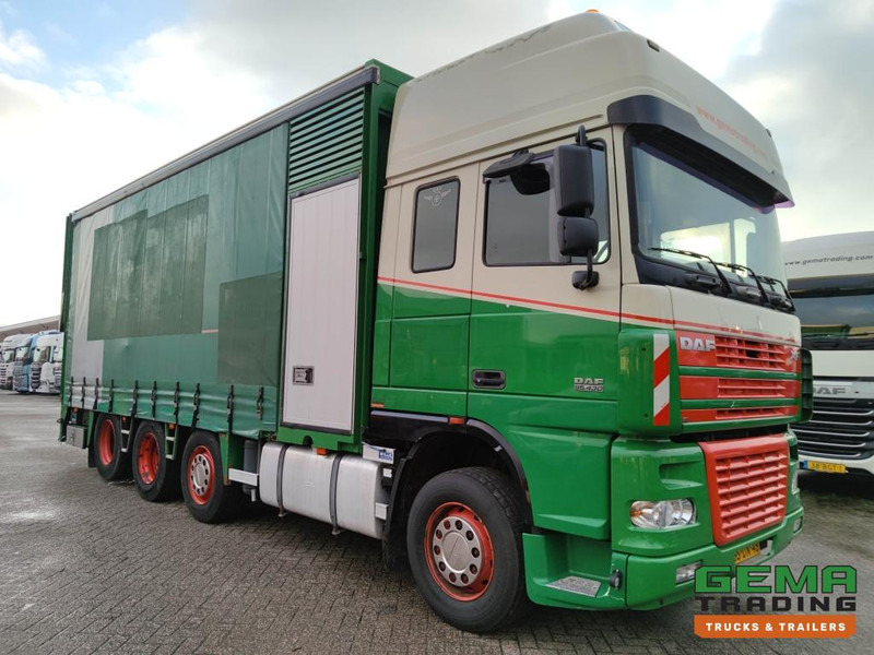 DAF FAK XF95.430 8x2 SuperSpaceCab Euro3 - CurtainSider 7.31m + Ramp 16T - MachineTransporter - 6 Persons (V558) - شاحنة نقل سيارات شاحنة: صورة 3 DAF FAK XF95.430 8x2 SuperSpaceCab Euro3 - CurtainSider 7.31m + Ramp 16T - MachineTransporter - 6 Persons (V558) - شاحنة نقل سيارات شاحنة: صورة 3