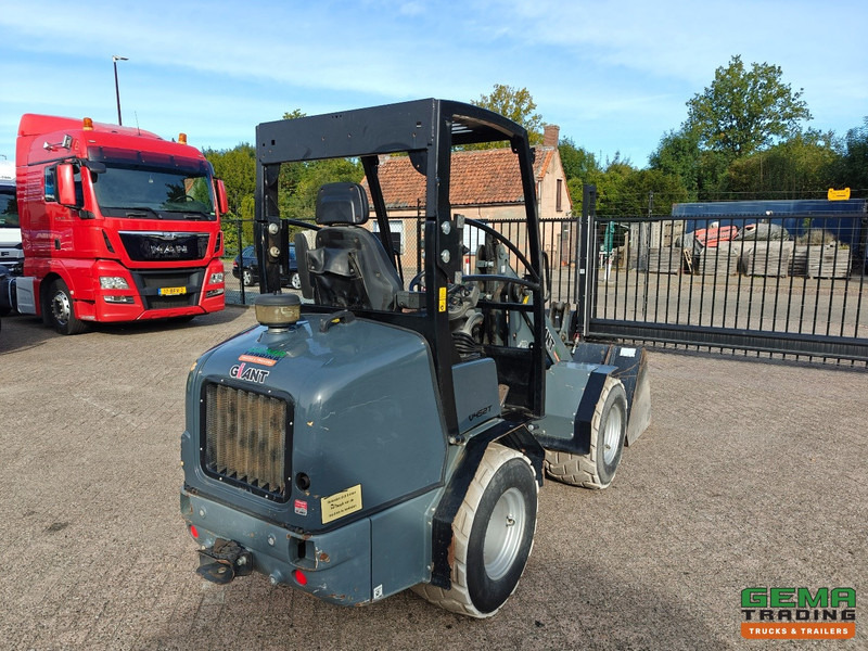 Giant V452T 3585 uren - Wiellader - Landbouw Kenteken - Vangmuil - Grondbak - Non-Marking Banden - اللودر المجنزر صغير: صورة 3 Giant V452T 3585 uren - Wiellader - Landbouw Kenteken - Vangmuil - Grondbak - Non-Marking Banden - اللودر المجنزر صغير: صورة 3