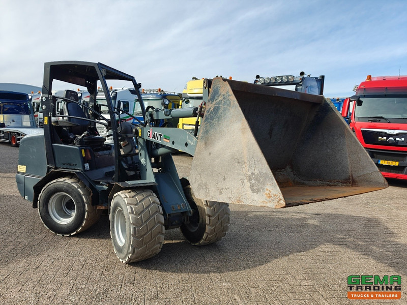 Giant V452T 3585 uren - Wiellader - Landbouw Kenteken - Vangmuil - Grondbak - Non-Marking Banden - اللودر المجنزر صغير: صورة 2 Giant V452T 3585 uren - Wiellader - Landbouw Kenteken - Vangmuil - Grondbak - Non-Marking Banden - اللودر المجنزر صغير: صورة 2
