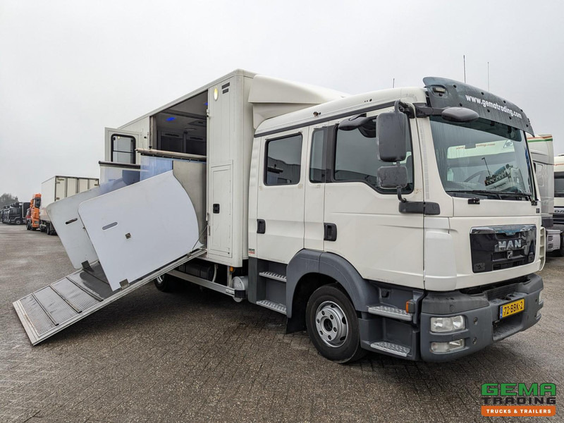MAN TGL 12.180 4x2 DoKa 7 pers. Euro5 EEV - Paardenwagen 2-Paards - 147.000km! - MARGE - شاحنة نقل خيل: صورة 1 MAN TGL 12.180 4x2 DoKa 7 pers. Euro5 EEV - Paardenwagen 2-Paards - 147.000km! - MARGE - شاحنة نقل خيل: صورة 1