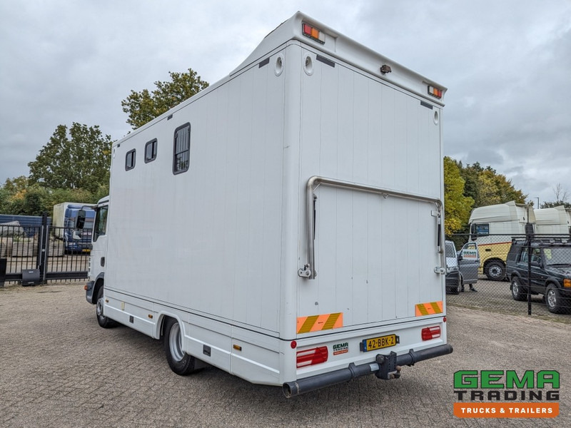 MAN TGL 12.250 4x2 Euro5 EEV RC HorseTruck - 2a3 Paards - 135.000km - MARGE (V821) - شاحنة نقل خيل: صورة 4 MAN TGL 12.250 4x2 Euro5 EEV RC HorseTruck - 2a3 Paards - 135.000km - MARGE (V821) - شاحنة نقل خيل: صورة 4