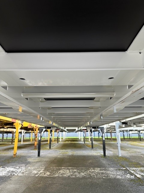 Krone BDF-System 7.450 mm lang, FABRIKNEU - حاوية قابلة للتبديل ستارة جانبية: صورة 3 Krone BDF-System 7.450 mm lang, FABRIKNEU - حاوية قابلة للتبديل ستارة جانبية: صورة 3
