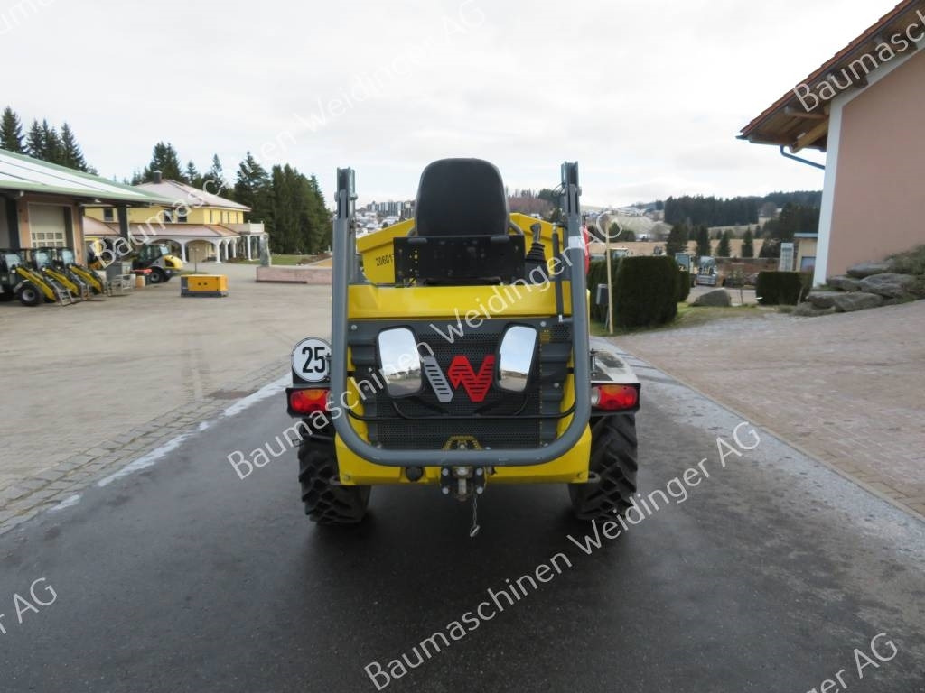 Wacker Neuson DW 40 - شاحنة قلاب مفصلية: صورة 4 Wacker Neuson DW 40 - شاحنة قلاب مفصلية: صورة 4