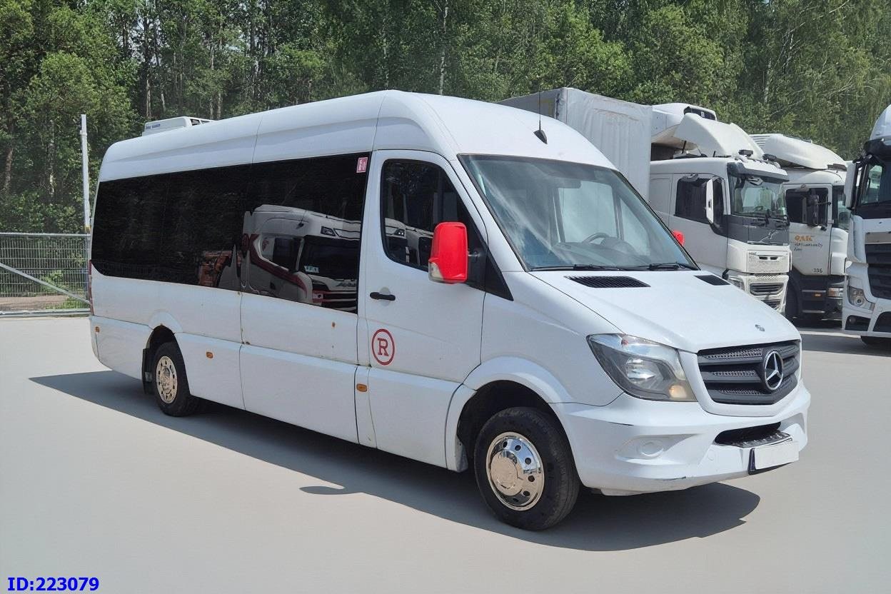 MERCEDES-BENZ Sprinter 516 - VIP - Euro6 - 17 places - حافلة صغيرة, ميكروباص: صورة 1 MERCEDES-BENZ Sprinter 516 - VIP - Euro6 - 17 places - حافلة صغيرة, ميكروباص: صورة 1