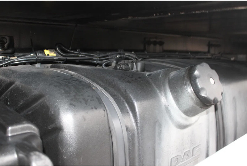 شاحنة الفريزر DAF LF 210 + EURO 6 + LIFT: صورة 10