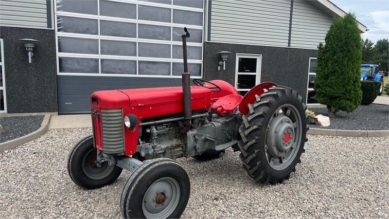 Massey Ferguson 65 Med nye dæk - جرار: صورة 2 Massey Ferguson 65 Med nye dæk - جرار: صورة 2