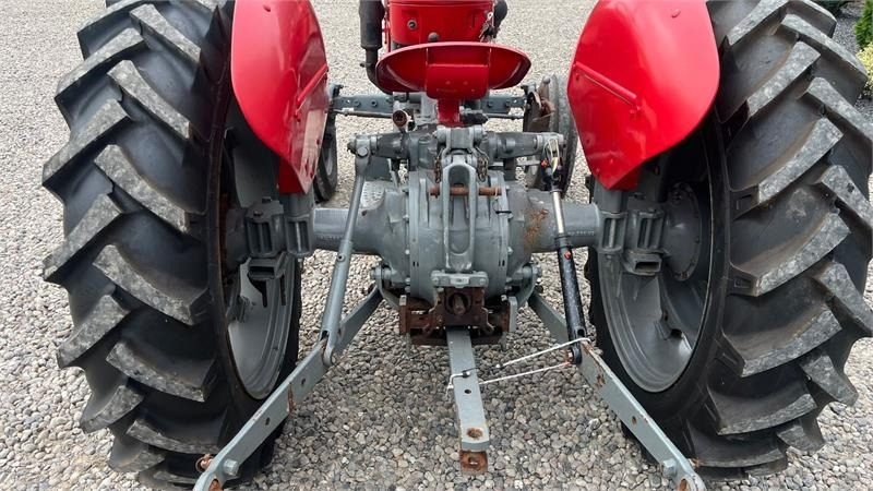 Massey Ferguson 65 Med nye dæk - جرار: صورة 4 Massey Ferguson 65 Med nye dæk - جرار: صورة 4