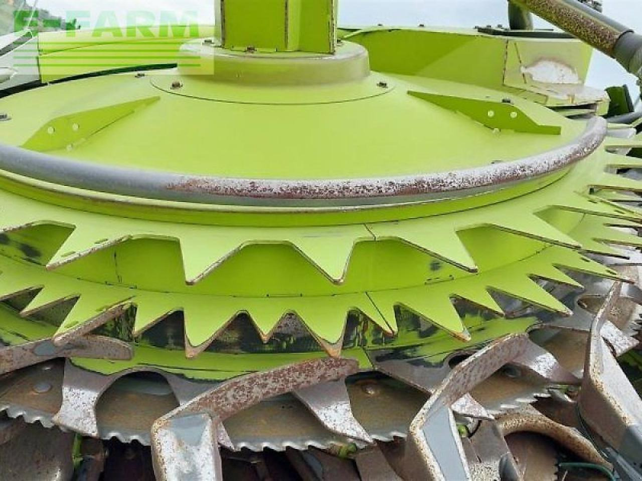 ملحق حصادة أعلاف CLAAS orbis 900: صورة 7