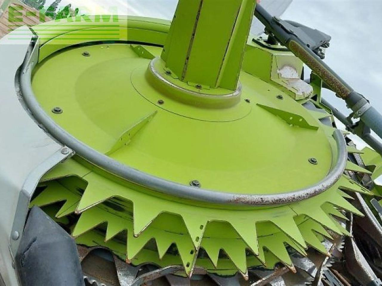 ملحق حصادة أعلاف CLAAS orbis 900: صورة 13