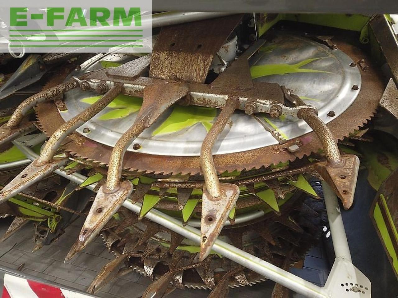 ملحق حصادة أعلاف CLAAS orbis 900: صورة 11