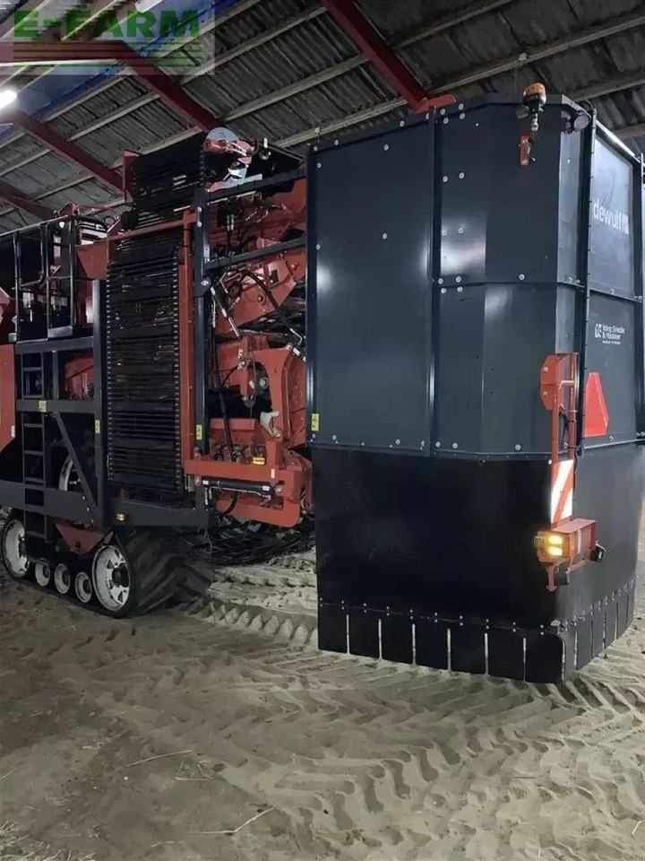 Dewulf rqa3060 topkæde, hd bagaksel, tracks, easyclean rensemodul, kassefylder - حصادة البطاطس: صورة 5 Dewulf rqa3060 topkæde, hd bagaksel, tracks, easyclean rensemodul, kassefylder - حصادة البطاطس: صورة 5
