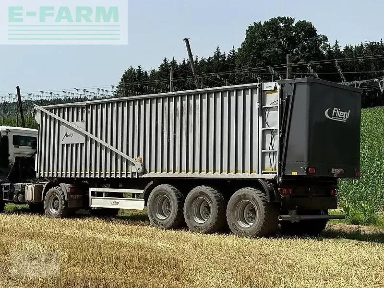 Fliegl asw / ass 3101 - مقطورة زراعية قلابة: صورة 1 Fliegl asw / ass 3101 - مقطورة زراعية قلابة: صورة 1