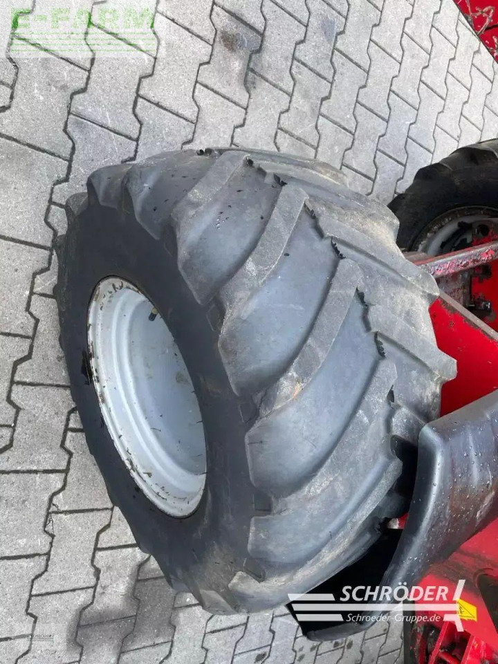 اللودر بعجل Thaler 3248/a: صورة 11
