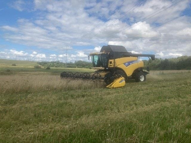 New Holland CR 980 1050er hjul og 30Fod 4 hjulstræk - حصادة موحَّدة: صورة 1 New Holland CR 980 1050er hjul og 30Fod 4 hjulstræk - حصادة موحَّدة: صورة 1