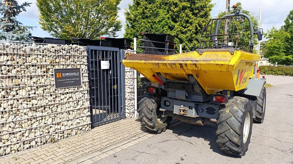Wacker Neuson Dumper Wacker Neuson DV 60, Dual View, 6 t, Allrad - شاحنة قلابة صغيرة: صورة 4 Wacker Neuson Dumper Wacker Neuson DV 60, Dual View, 6 t, Allrad - شاحنة قلابة صغيرة: صورة 4