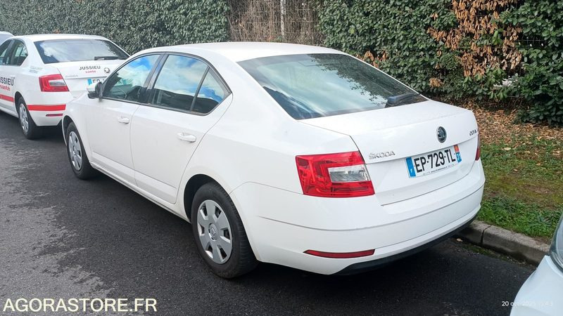 EP-729-TL - Non Roulant - SKODA OCTAVIA - VP - 349 390 Kms - سيارة: صورة 3 EP-729-TL - Non Roulant - SKODA OCTAVIA - VP - 349 390 Kms - سيارة: صورة 3