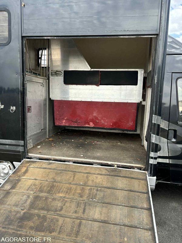 Fourgon FORD - Transport de 2 Chevaux - 2004 - 137 510 KM - فان: صورة 3 Fourgon FORD - Transport de 2 Chevaux - 2004 - 137 510 KM - فان: صورة 3