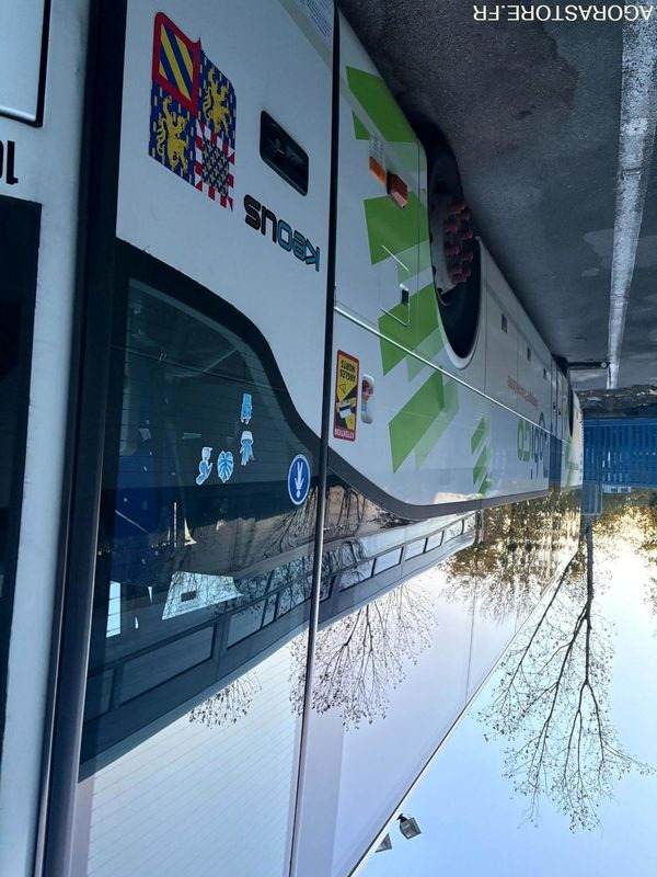 MERCEDES TOURISMO N°106030 - مركبة كوتش: صورة 4 MERCEDES TOURISMO N°106030 - مركبة كوتش: صورة 4