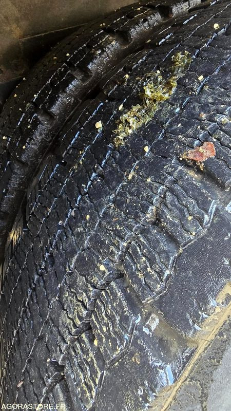 شاحنة النفايات Renault D25 Wide BOM - EA913FS: صورة 16