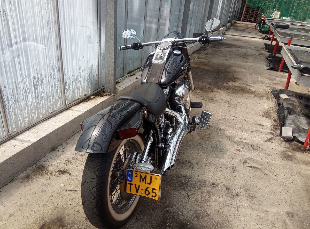 Harley-Davidson Custom Custom - دراجة نارية: صورة 3 Harley-Davidson Custom Custom - دراجة نارية: صورة 3