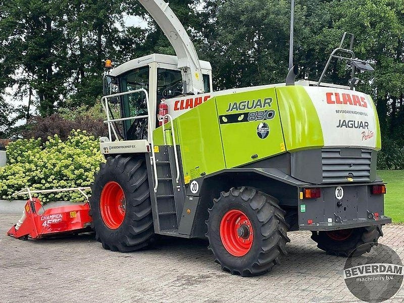 Claas Jaguar 830 492 - الآلات الزراعية: صورة 3 Claas Jaguar 830 492 - الآلات الزراعية: صورة 3