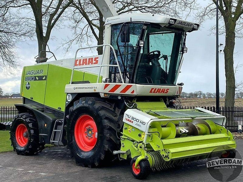 Claas Jaguar 830 492 - حصادة الأعلاف: صورة 2 Claas Jaguar 830 492 - حصادة الأعلاف: صورة 2