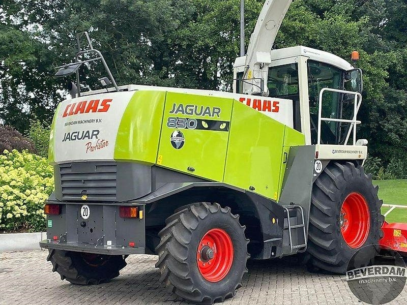 Claas Jaguar 830 492 - الآلات الزراعية: صورة 4 Claas Jaguar 830 492 - الآلات الزراعية: صورة 4