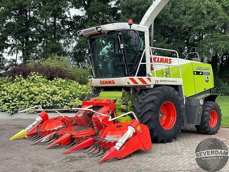 Claas Jaguar 830 492 - الآلات الزراعية: صورة 1 Claas Jaguar 830 492 - الآلات الزراعية: صورة 1