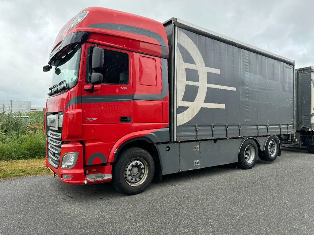 DAF XF 480 6X2 EURO 6 2018AUTOMATIC - شاحنة ستارة: صورة 1 DAF XF 480 6X2 EURO 6 2018AUTOMATIC - شاحنة ستارة: صورة 1