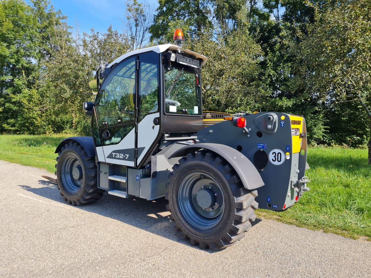 رافعة تلسكوبية LIEBHERR T 32-7: صورة 7