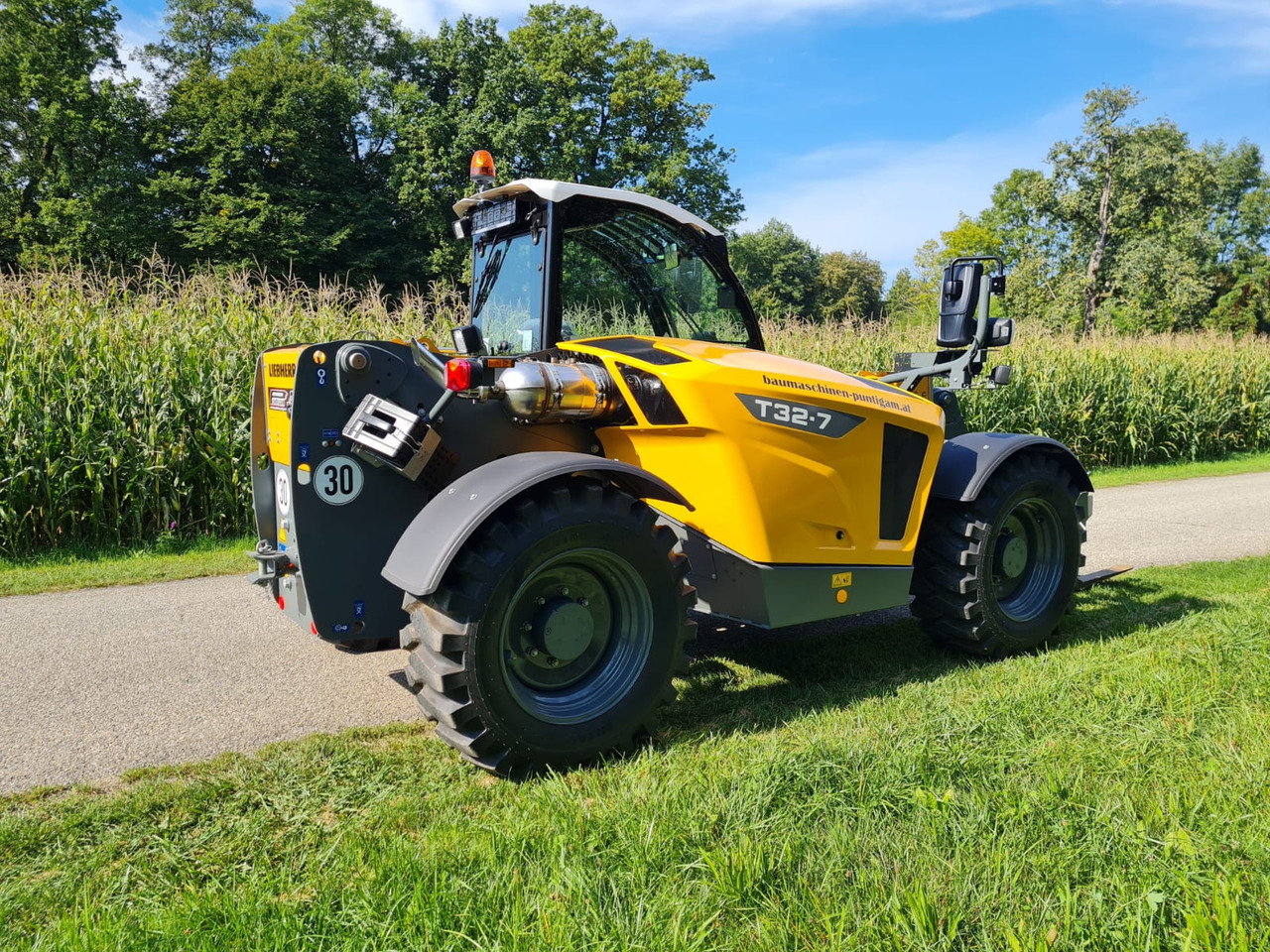 رافعة تلسكوبية LIEBHERR T 32-7: صورة 9