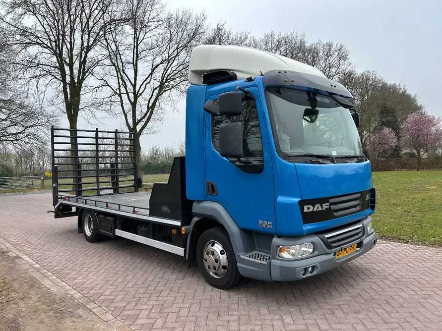 2008 DAF 45.160 TRUCK RAMP - شاحنة: صورة 2 2008 DAF 45.160 TRUCK RAMP - شاحنة: صورة 2