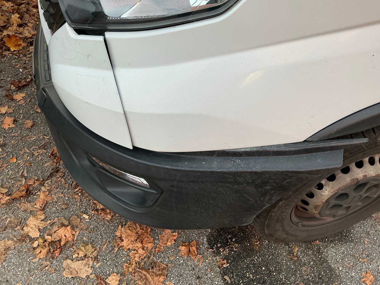 شاحنة التوصيل 2021 IVECO 355 FLEXBOX VANS: صورة 17 شاحنة التوصيل 2021 IVECO 355 FLEXBOX VANS: صورة 17