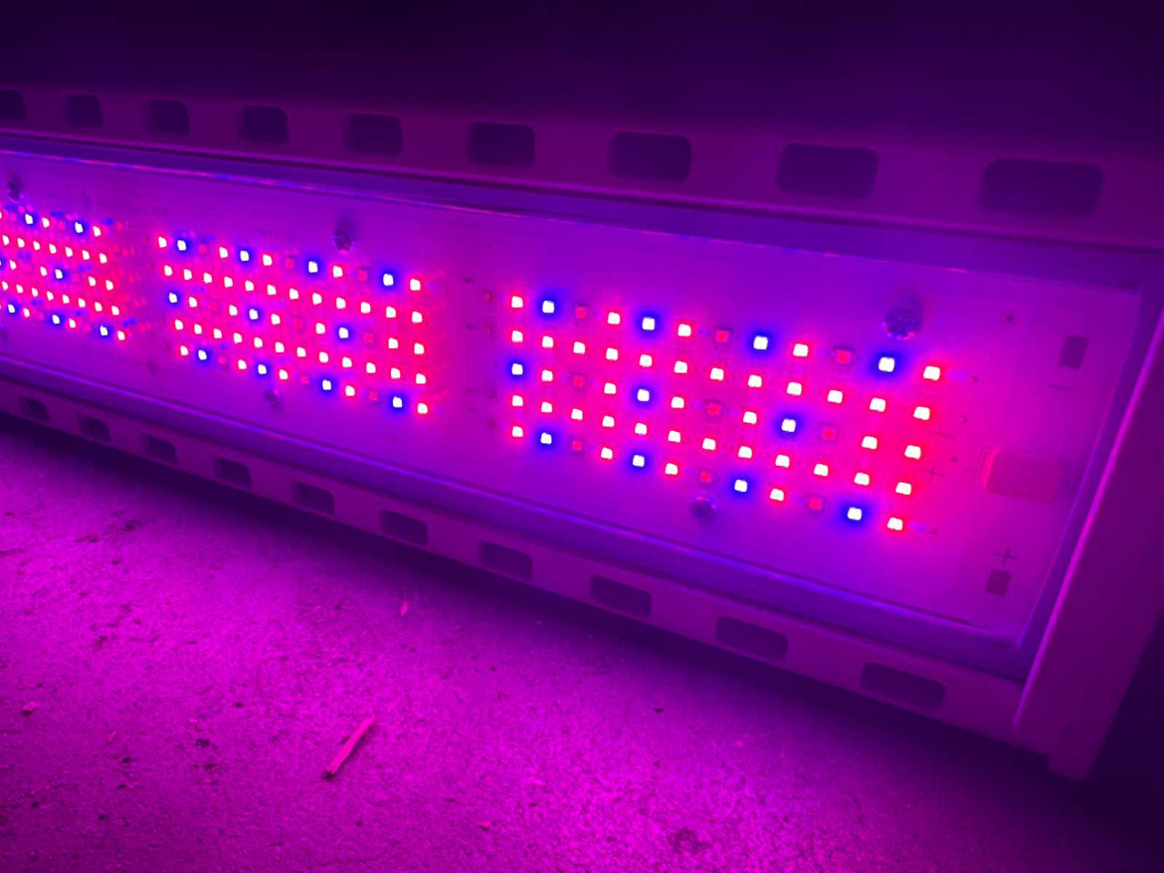 الآلات الزراعية Hortilux HortiLed Top 120v19: صورة 7