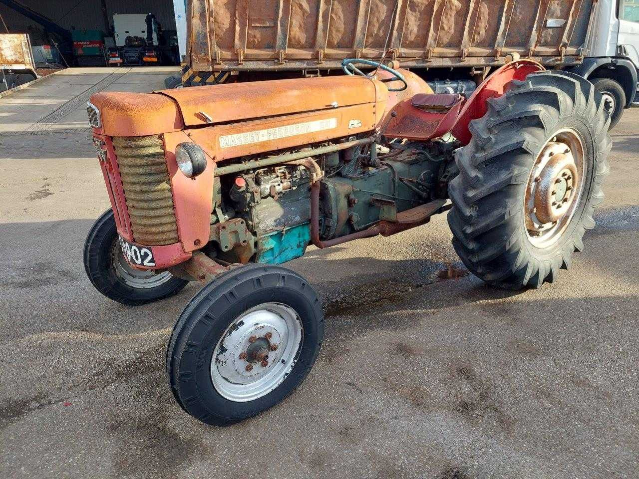 Massey Ferguson 65 - جرار: صورة 1 Massey Ferguson 65 - جرار: صورة 1