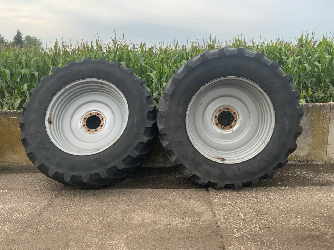 Michelin XM108 - الإطارات والجنوط - جرار: صورة 1 Michelin XM108 - الإطارات والجنوط - جرار: صورة 1