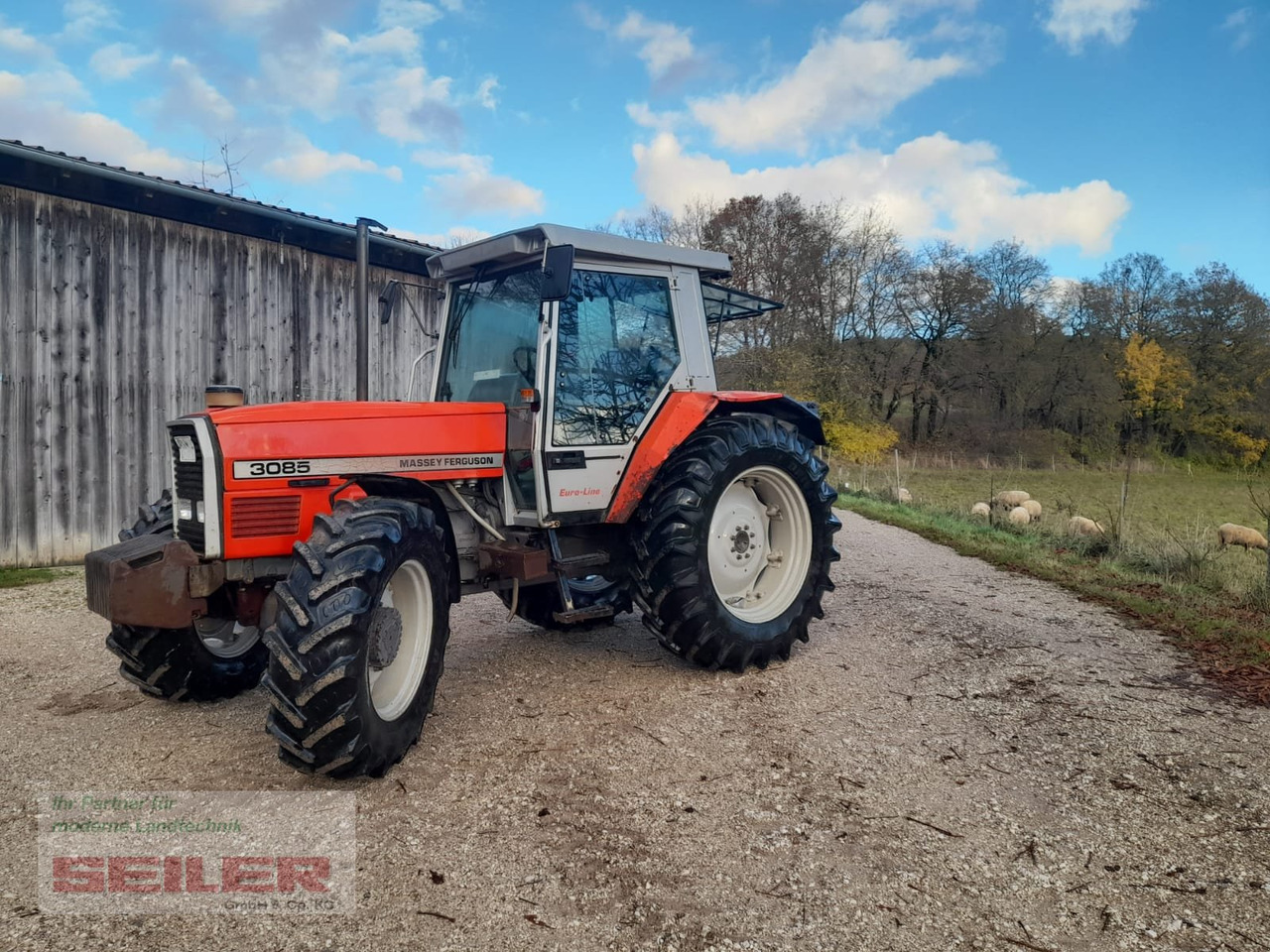 Massey Ferguson 3085 Euro-Line - جرار: صورة 1 Massey Ferguson 3085 Euro-Line - جرار: صورة 1