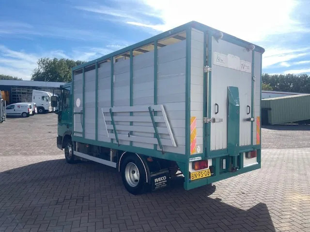 Iveco EuroCargo 65 BLADVERING / HANDGESCHAKELDE - شاحنة نقل المواشي: صورة 5 Iveco EuroCargo 65 BLADVERING / HANDGESCHAKELDE - شاحنة نقل المواشي: صورة 5