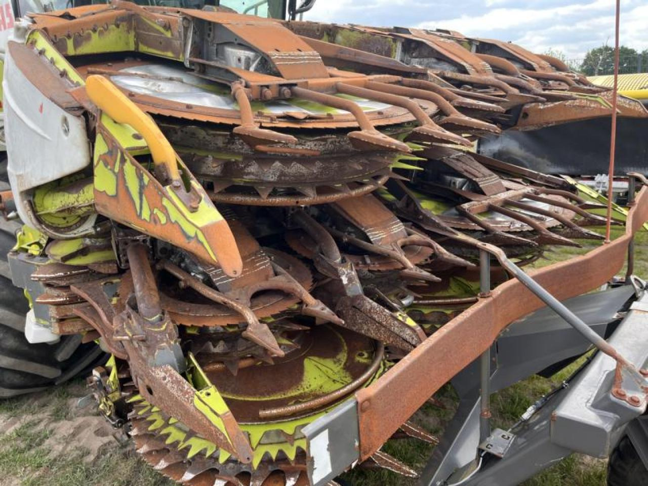 CLAAS Jaguar 980 - حصادة الأعلاف: صورة 5 CLAAS Jaguar 980 - حصادة الأعلاف: صورة 5