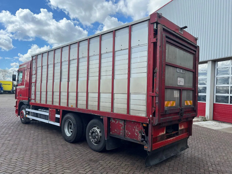 DAF XF FAR 95XF.380 EURO 2 - شاحنة نقل المواشي: صورة 5 DAF XF FAR 95XF.380 EURO 2 - شاحنة نقل المواشي: صورة 5